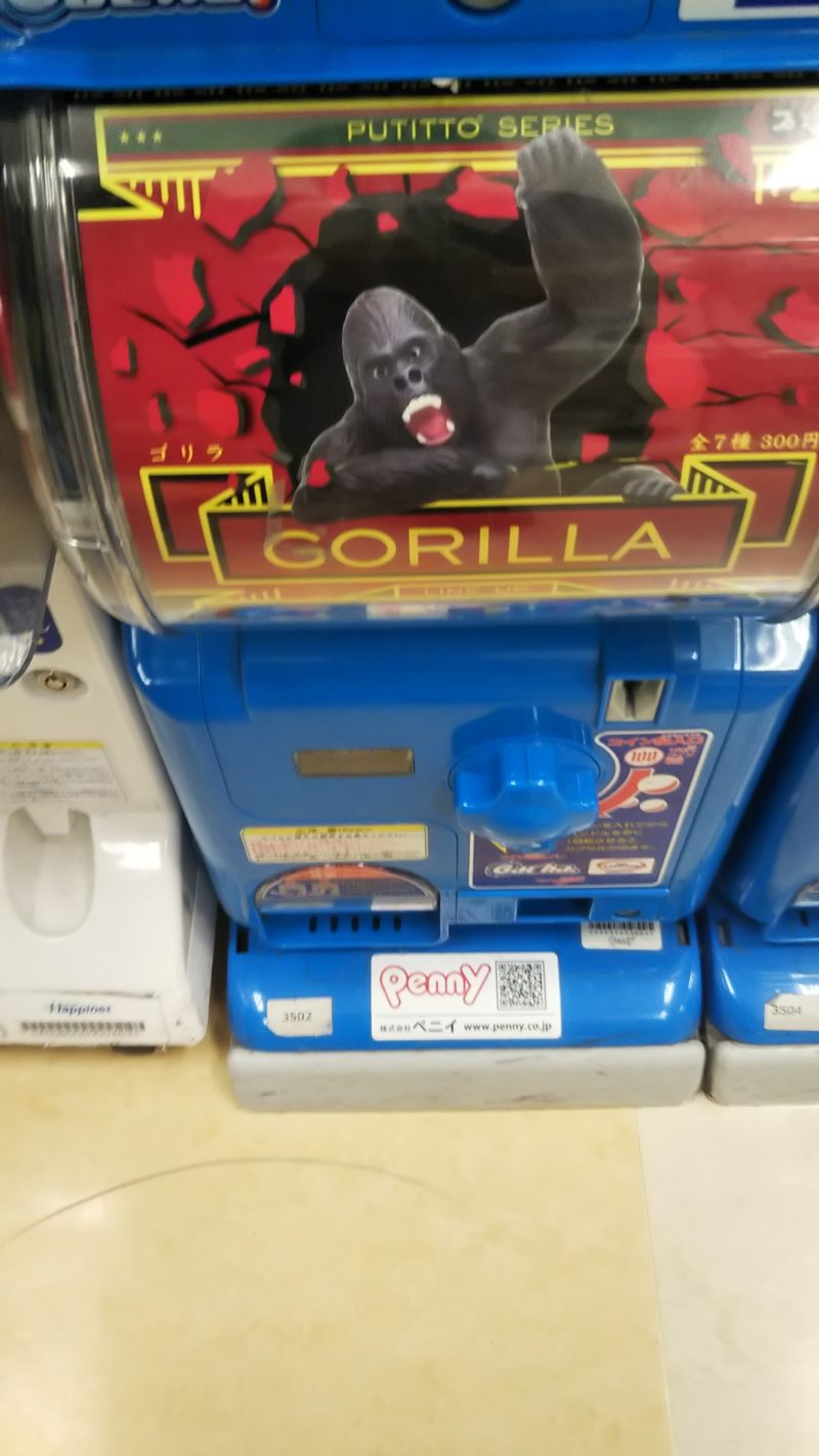 ガチャガチャ Gorilla ゴリラ好きなあなたへ ハリーのなんでも屋さん